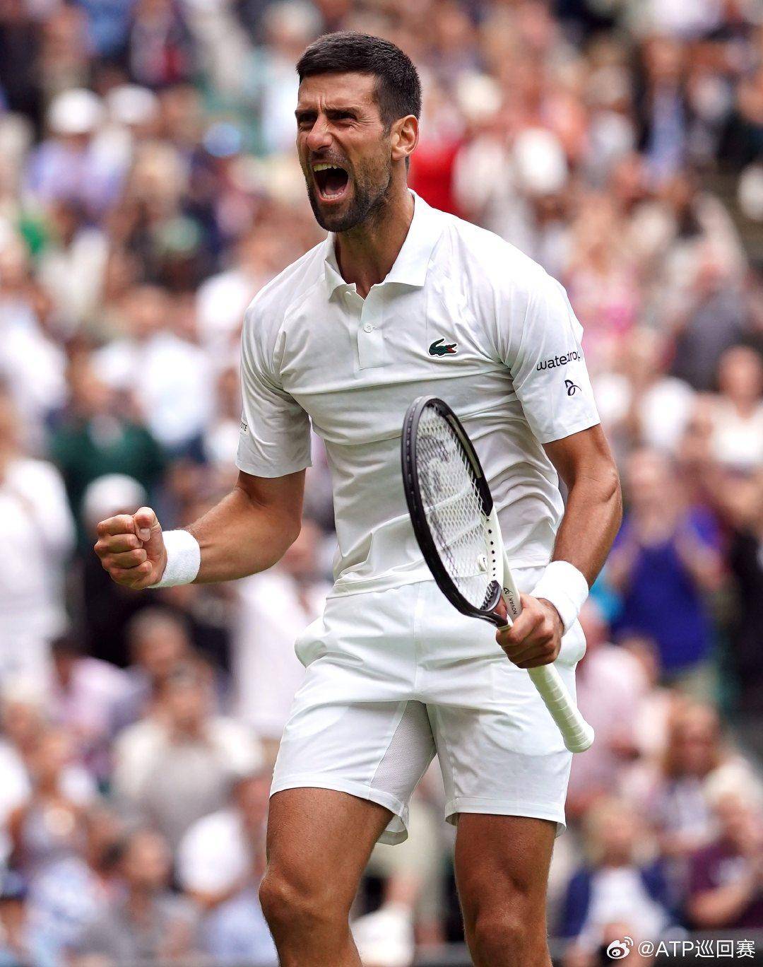 技术特点 技术特点