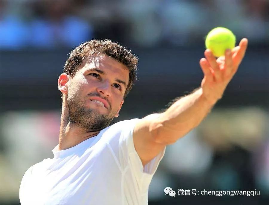 我可以帮你 我可以帮你